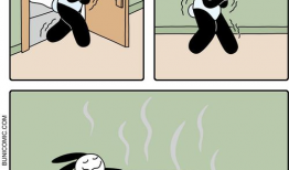 趣味漫画,趣味漫画里的欢乐时光